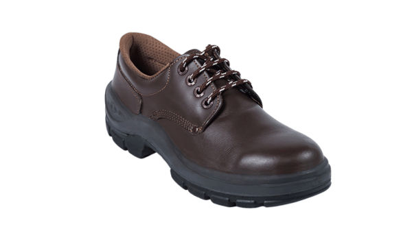 004 - Zapato Básico Acero