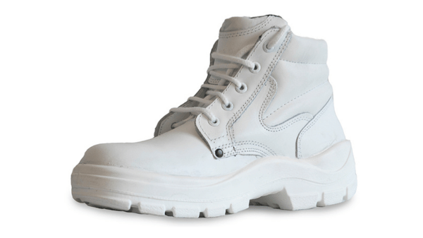 01 - Bontin Sanitario