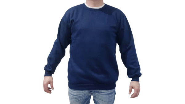 01 - Buzo Friza cuello Redondo